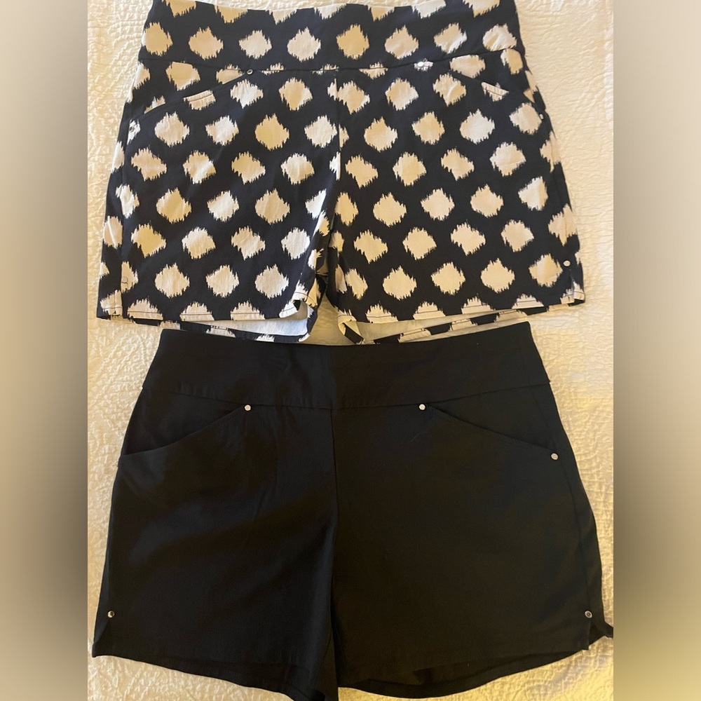 INC International Concepts Shorts 2 Pair